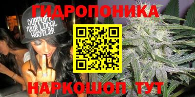 тгк Тара